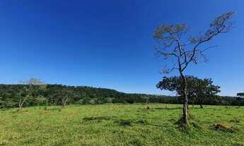 Imagem 2: Terrenos com Acesso ao Rio Pará por Apenas 24.925 + Parcelas
