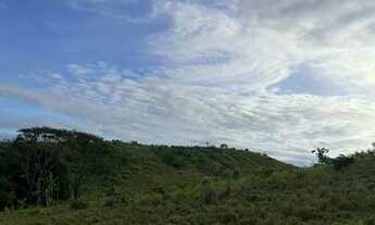 Imagem 3: Fazenda com 240 hectares em Alto Alegre / Roraima, região da Sumaúma, contendo 180 hectare