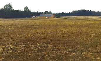 Imagem 5: Área de 21.040m2 no Campo Largo da Roseira