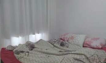 Imagem 3: Apartamento à venda, 2 quartos, 1 vaga, Distrito Industrial Doutor Hélio Pentagna Guimarãe