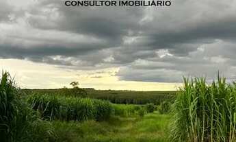 Imagem 5: Fazenda 105 Alqueires Região De Aparecida Do Taboado/MS