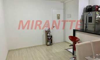 Imagem 4: Apartamento de 50m² com 2 quartos em Vila Augusta