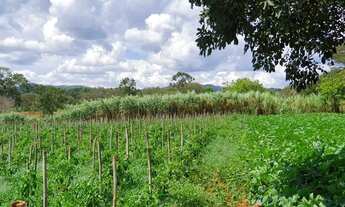 Imagem 3: Fazendinhas Planas com Terra para Plantio por 18.991 mais Pequenas Parcelas