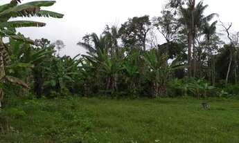 Imagem 4: Vendo lote rural