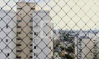 Imagem 7: Apartamento para Aluguel - Vila Pompéia, 3 Quartos, 80 m2