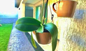 Imagem 2: Casa à venda, 3 quartos, 1 suíte, 6 vagas, Glalijá - Belo Horizonte/MG