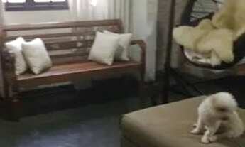 Imagem 5: 2 CASAS SOBREPOSTAS - COTIA - SP