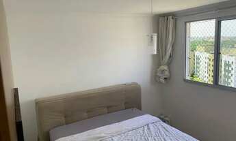 Imagem 5: ALAMEDA DOS IPÊS/OPORTUNIDADE