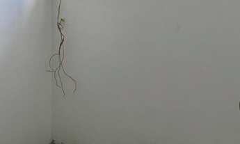 Imagem 6: Baiano de Tênis, 305m², 3 Suítes, com Suíte Master, com Armários