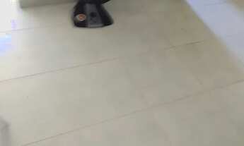 Imagem 2: Vendo um apartamento no Jambeiro Areia Branca namorada tropical