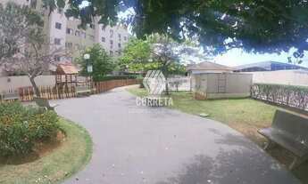 Imagem 5: M - Alugo Excelente Apartamento 2qts no Cond. Vista de Laranjeiras