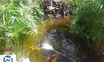 Imagem 7: SÃO JOSÉ DO RIO PRETO - Apartamento Padrão - RESIDENCIAL ANA CÉLIA