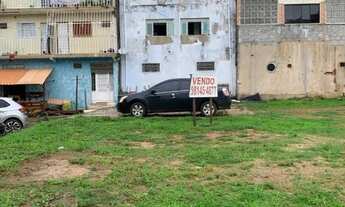 Imagem 3: Lote grande Colorado