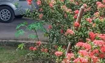 Imagem 7: NOVA VIÇOSA - BA 07 A 13 DE JANEIRO