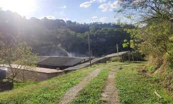 Imagem: Imóvel para venda tem 1000 metros quadrados