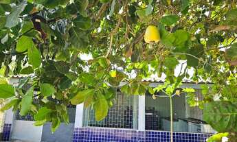 Imagem 6: Casa no Povoado Porto do Mato (Praia do Saco