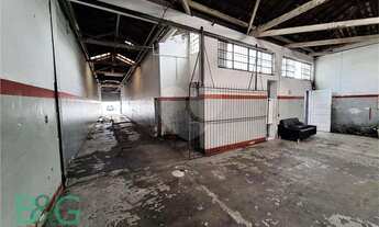 Imagem 2: Galpão, 300 m² - venda por R$ 2.250.000,00 ou aluguel por R$ 11.000,00/mês - Vila Romana