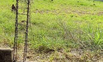 Imagem 3: Terreno para alugar em Jardim Botânico de 1762.00m²