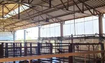 Imagem: PROPRIEDADE BEIRA DE RODOVIA 21 ALQUEIRES