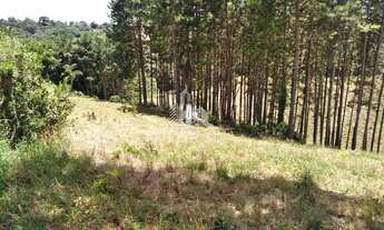 Imagem 2: Terreno com 1 Dormitorio(s) localizado(a) no bairro Centro em Contenda / Ref.:846