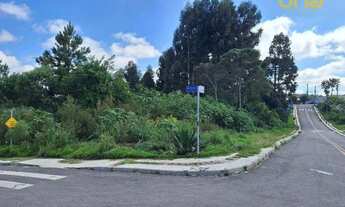 Imagem 2: Terreno à venda, 3700 m² por R$ 660.000,00 - Vila Brasila - Mandirituba/PR