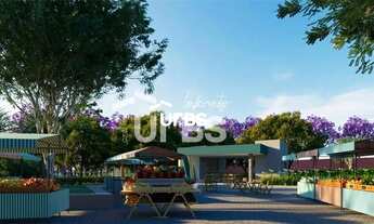 Imagem 2: Lotes no Jardins Miami