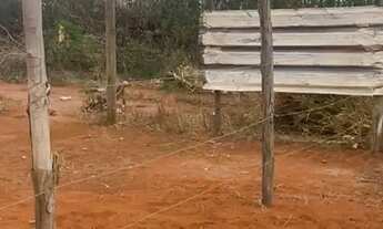 Imagem 5: Vende-se lote em samambaia