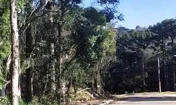 Imagem 7: Terreno para Venda em Nova Petrópolis, Linha Imperial