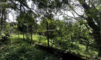 Imagem 6: Imóvel no Travessão, Dois Irmãos