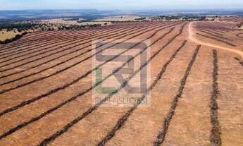 Imagem 5: MS) Fazenda em São Gabriel do Oeste com 440 Hectares