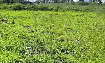 Imagem 3: Terreno Amplo 1000m² com Água e Luz Condomínio R$150 - São Roque