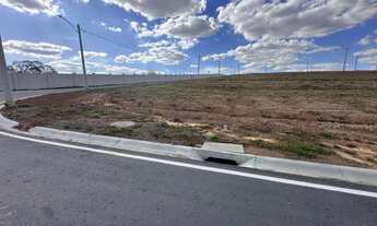 Imagem 6: Lote vinhas flamboyant