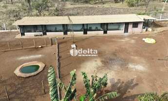 Imagem 3: Chácara disponível para venda na região rural em Uberlândia-MG