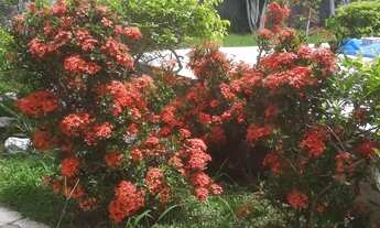 Imagem 4: Casa Temporada, 4 Quartos, Piscina, Churrasqueira e Campo de Futebol - São Pedro da Aldeia