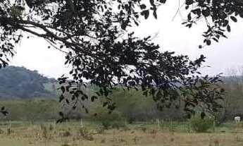 Imagem 6: Sítio à venda, Itapuã - Viamão/RS