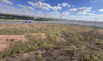 Imagem 7: Lote vinhas flamboyant