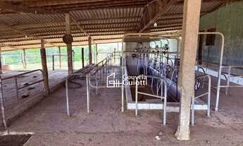 Imagem 7: Fazenda em Alexânia 126 ha Plana, Dupla Aptidão: Pecuária Leiteira e Corte + Agricultura