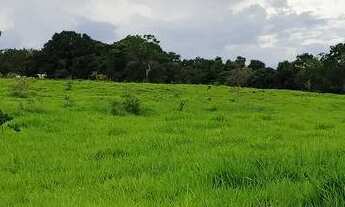 Imagem 2: Chácara em Bela vista