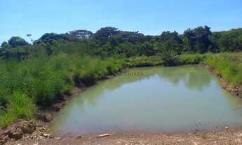 Imagem 2: Chácara de 2,9 hectares toda no cerradão bruto sem benfeitorias, toda cercada
