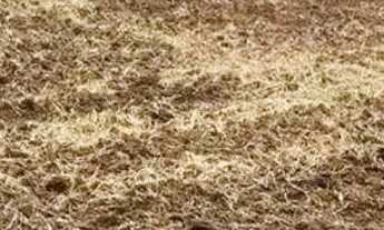 Imagem 5: Terreno à venda, 1000 m² por R$ 145.000,00 - Cocuera - Mogi das Cruzes/SP