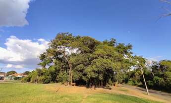 Imagem 5: ÁREA C/ 22.000M² / GOIÂNIA