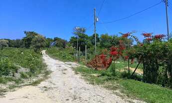 Imagem 2: Ótima chácara Chácara com venda por R$70.000