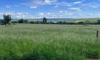 Imagem 4: Fazenda de 150 hectares toda escriturada e em dia, na beira do lago do manso