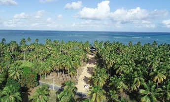 Imagem 5: VENDO LOTES A BEIRA MAR, EM ALAGOAS, JAPARATINGA