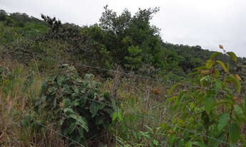 Imagem 2: Vendo excelente fazenda Nazaré das farinha