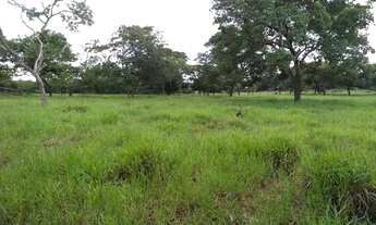 Imagem 3: Chacara próxima ao balneário Lagoa Rica e aeroporto Santa Maria