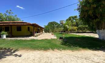 Imagem 2: Sítio à venda - Altos/PI