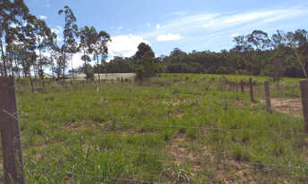 Imagem: Sítio de 6,5 hectares escriturado nas Laranjeiras