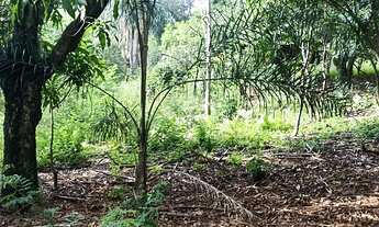 Imagem 4: Vende-se duas chácaras em Rolândia PR