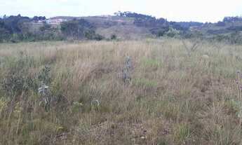 Imagem 7: VENDE SE 13ALQUEIRES EM MAIRINQUE